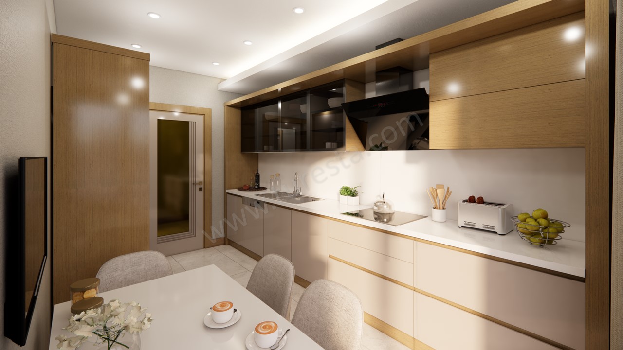 2 Bedroom Apartments in Buyukcekmece